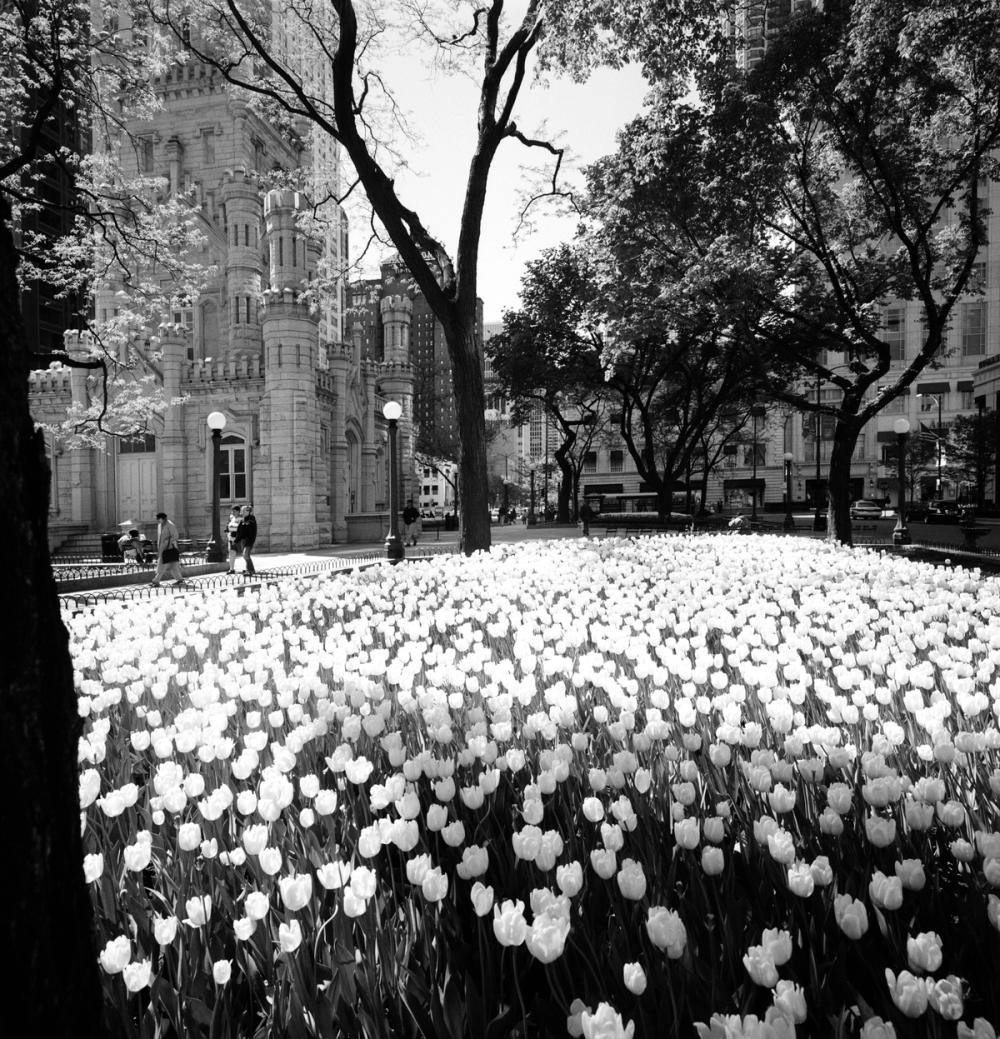 Castle Garden Promenade