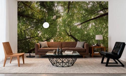 Emerald Canopy