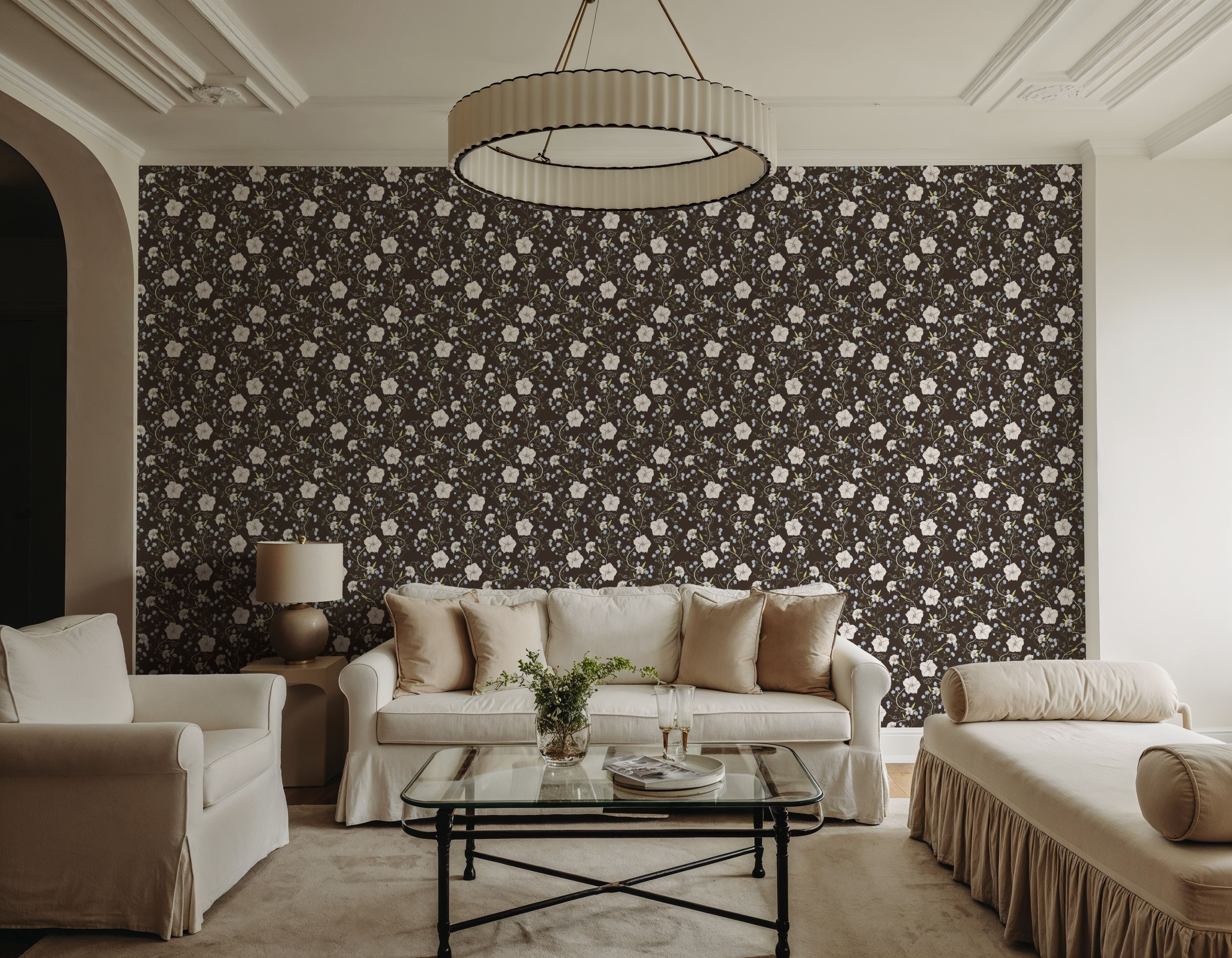 Trailing Morning Glory, Walnut