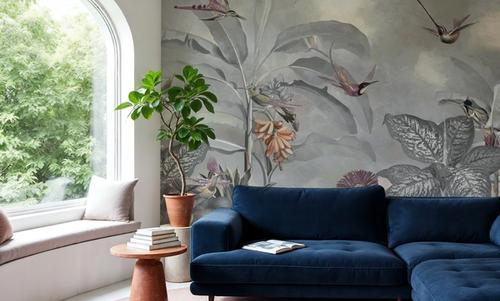 Birds of Paradise