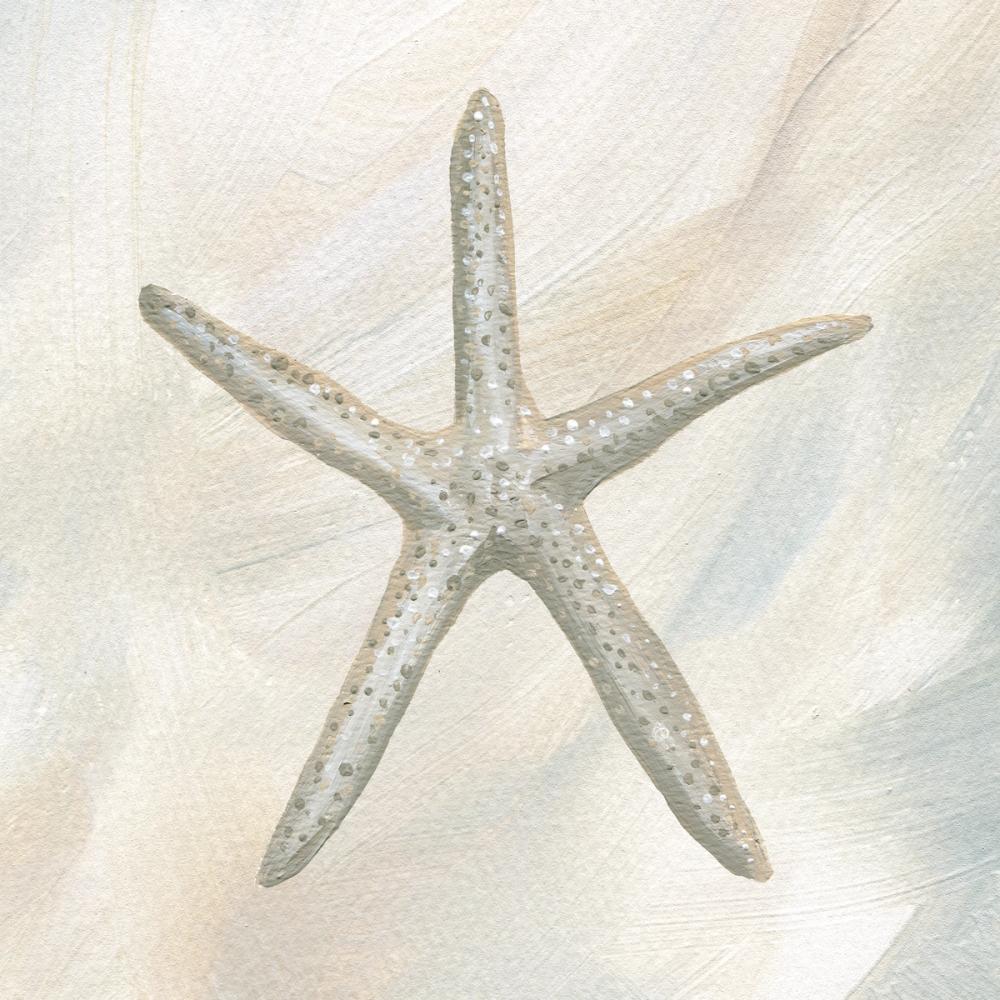 Starfish II