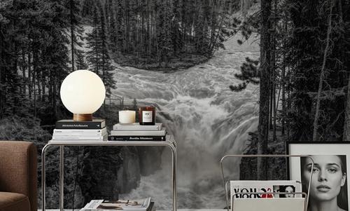 Sunwapta Falls BW
