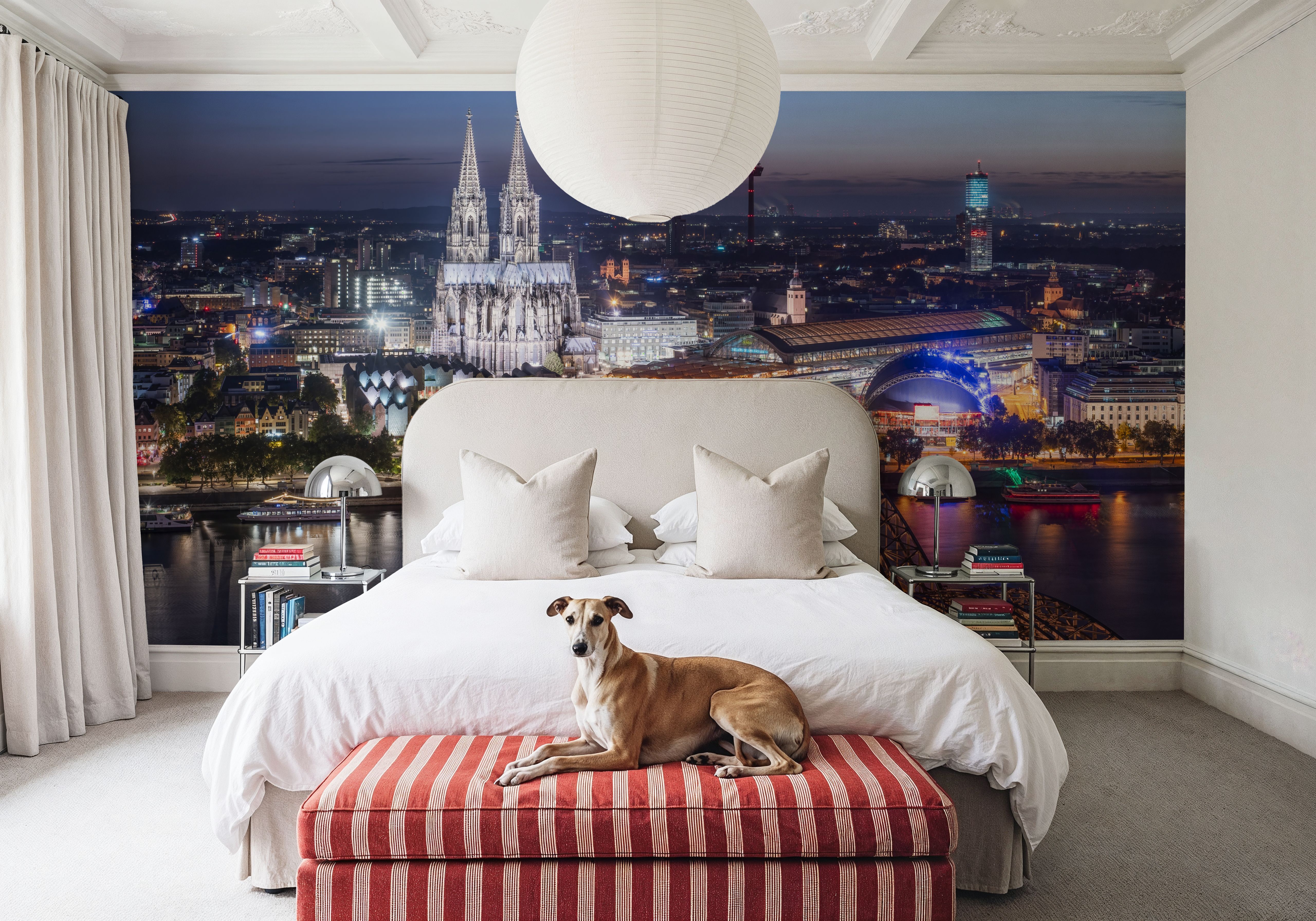 Cologne Cathedral Dusk Dark