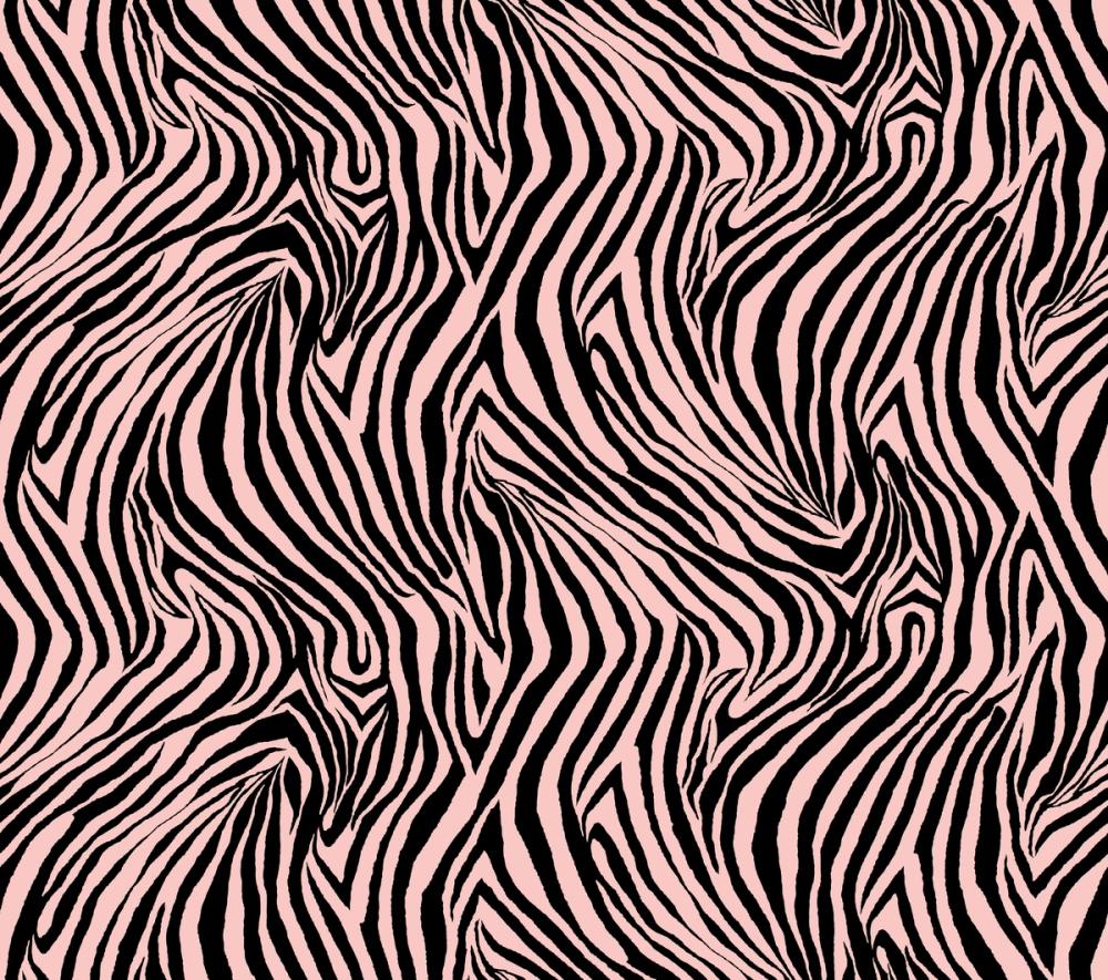 A Stripe of Zebra