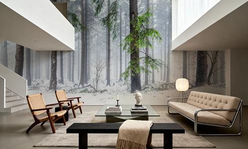 Cold Green Forest