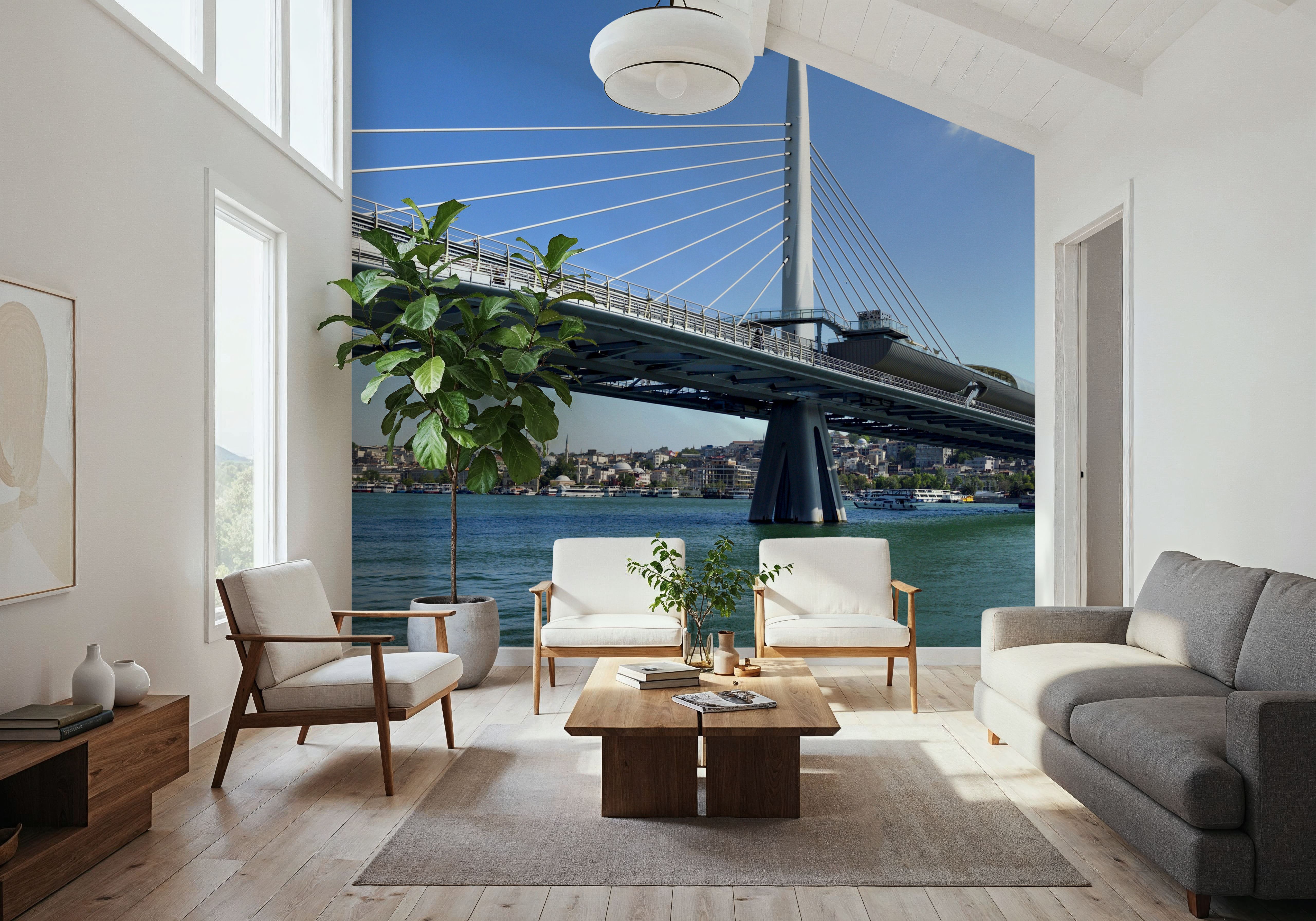 Urban Suspension Bridge