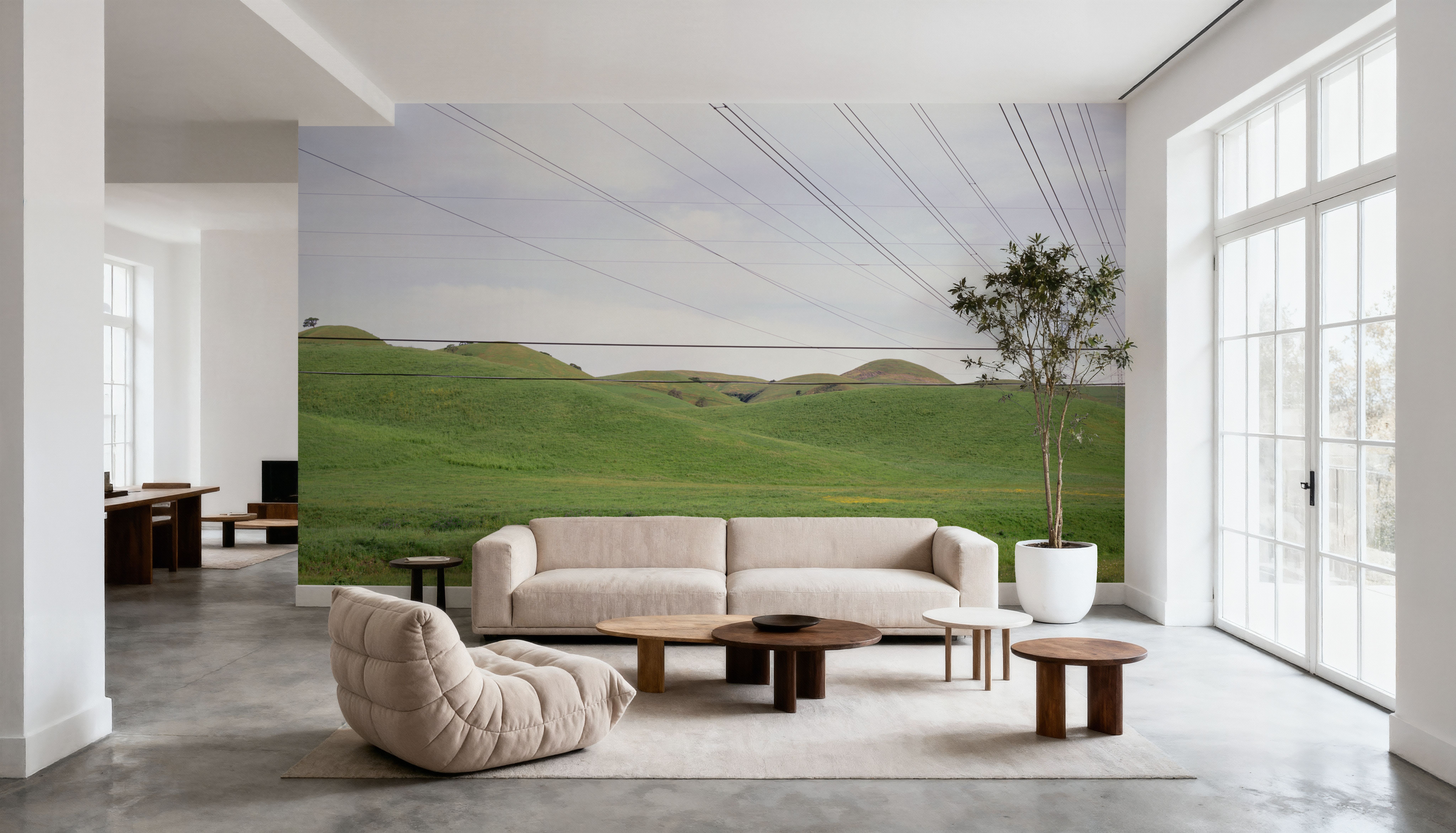 Power Line Landscape