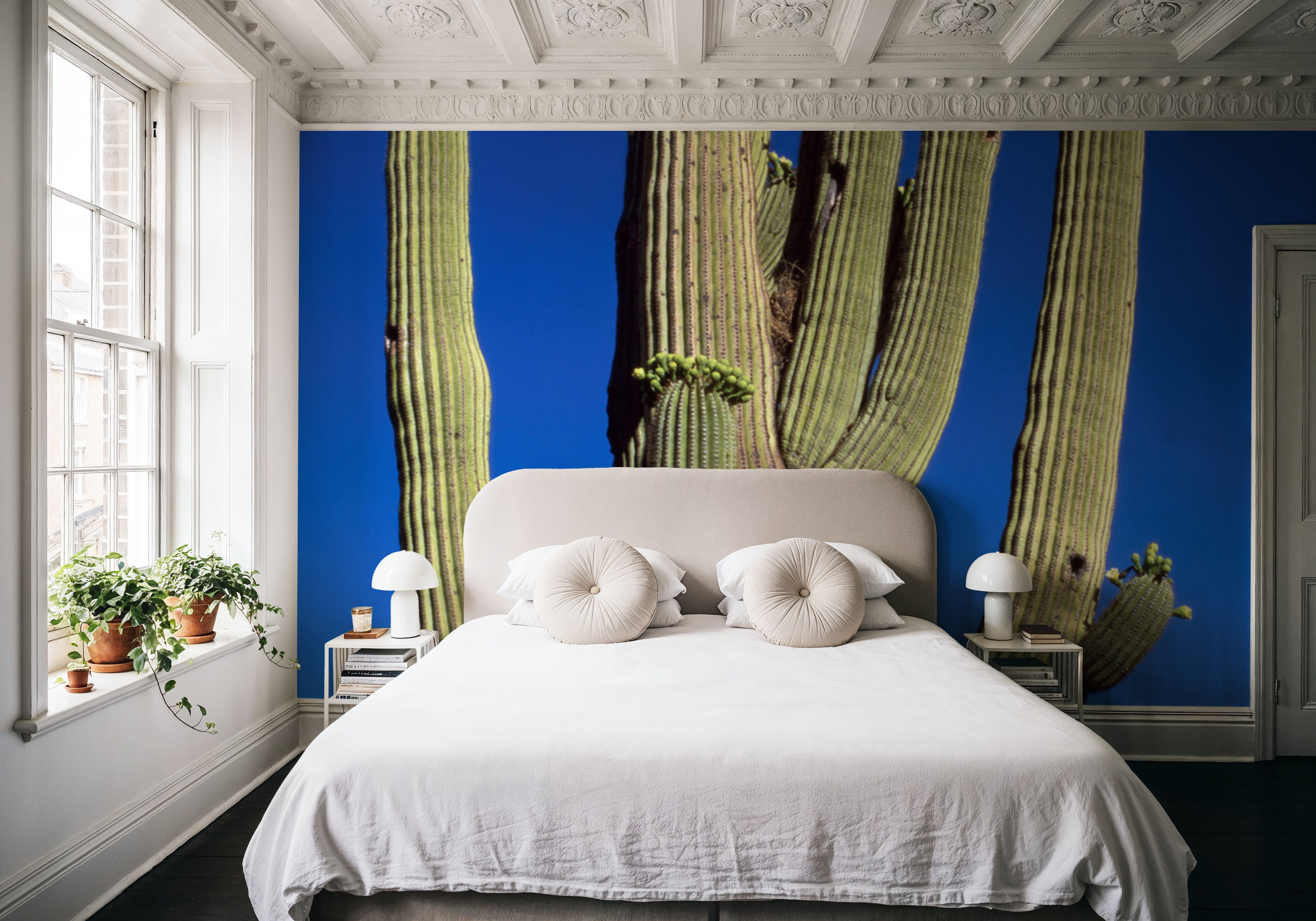 Moonlit Saguaro, Wallpaper