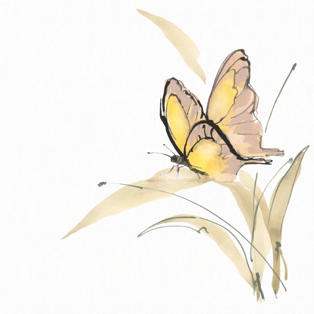 Butterfly Yellow II