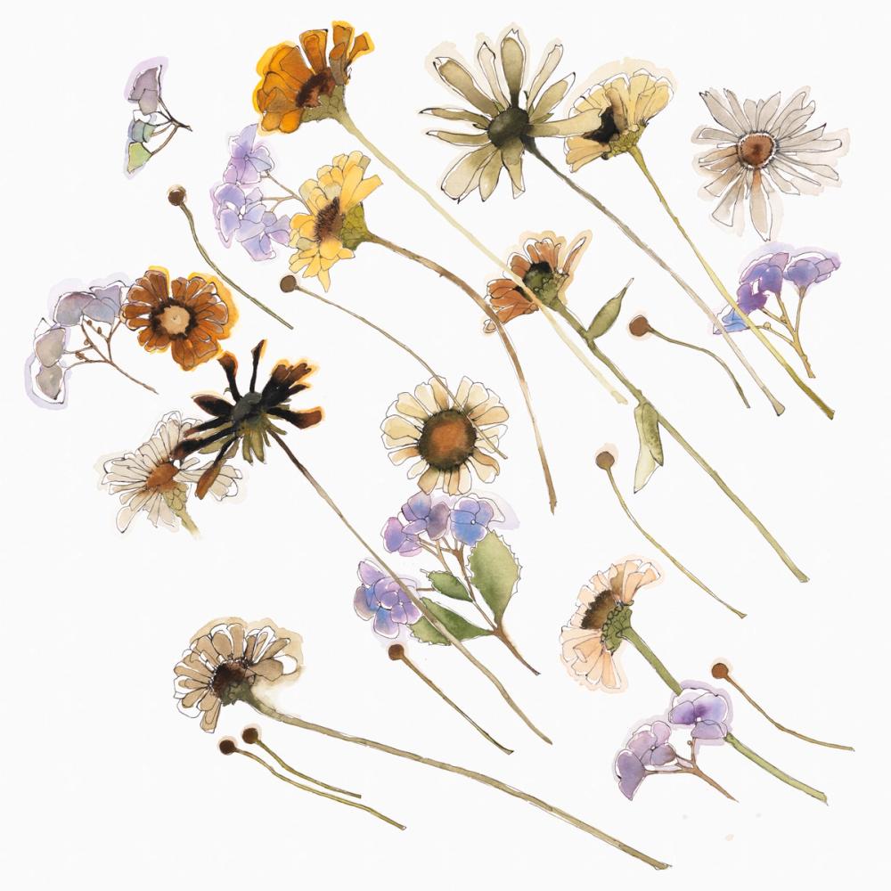 More than a Little Breezy