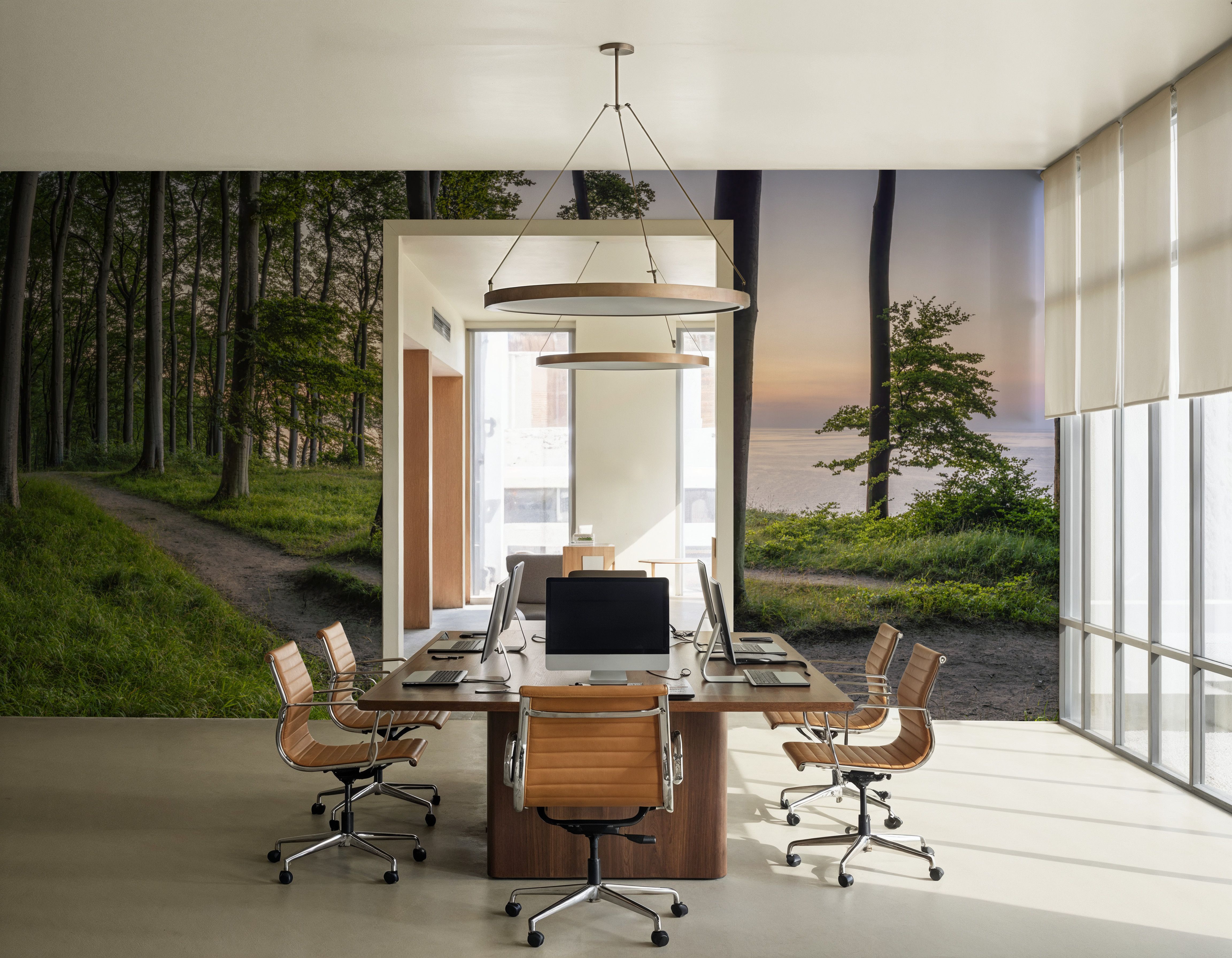 Trail Running, Tapeten