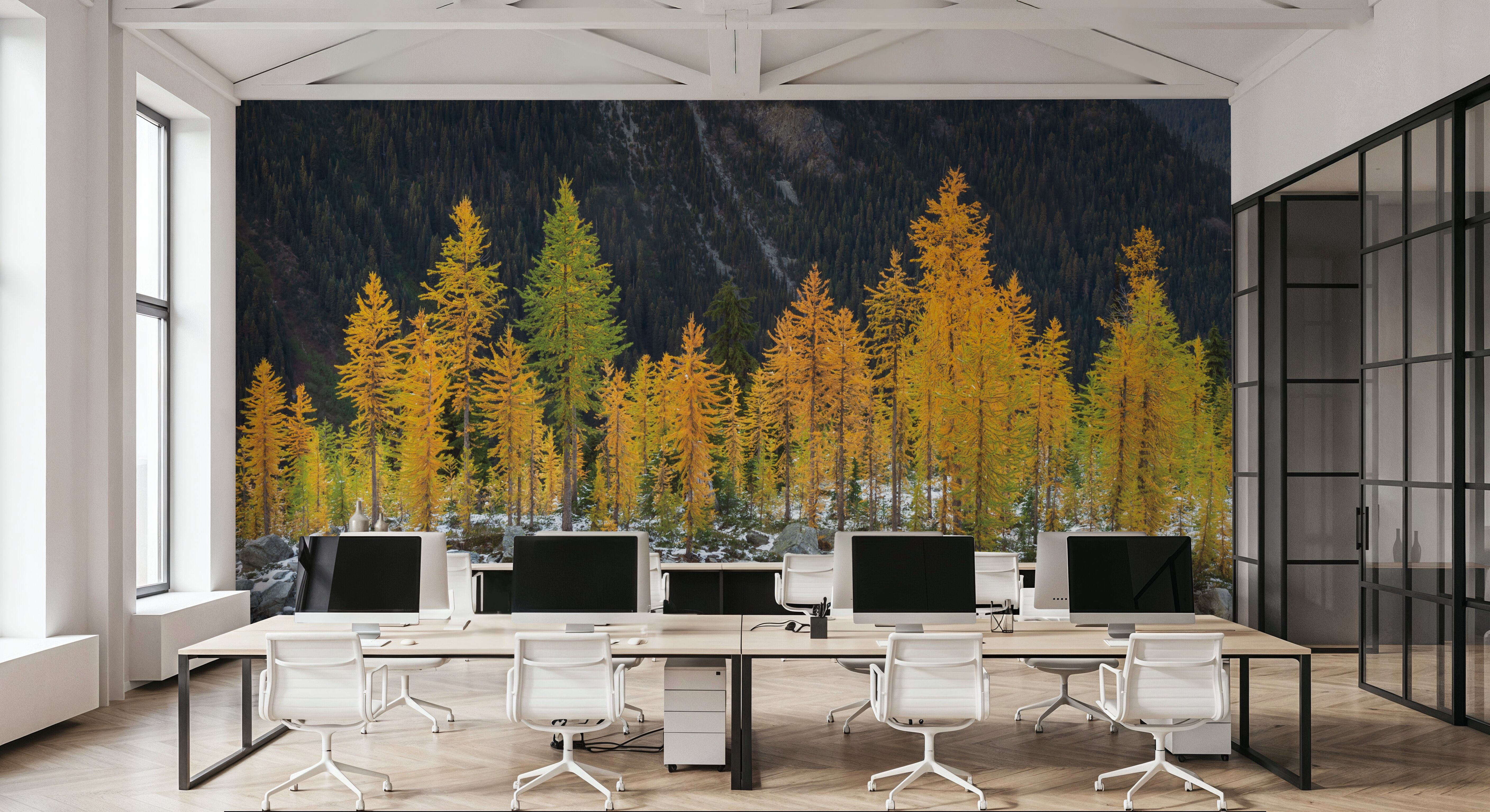 Alpine Larches, Wallpaper