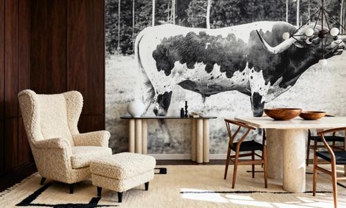 Longhorn Bull BW
