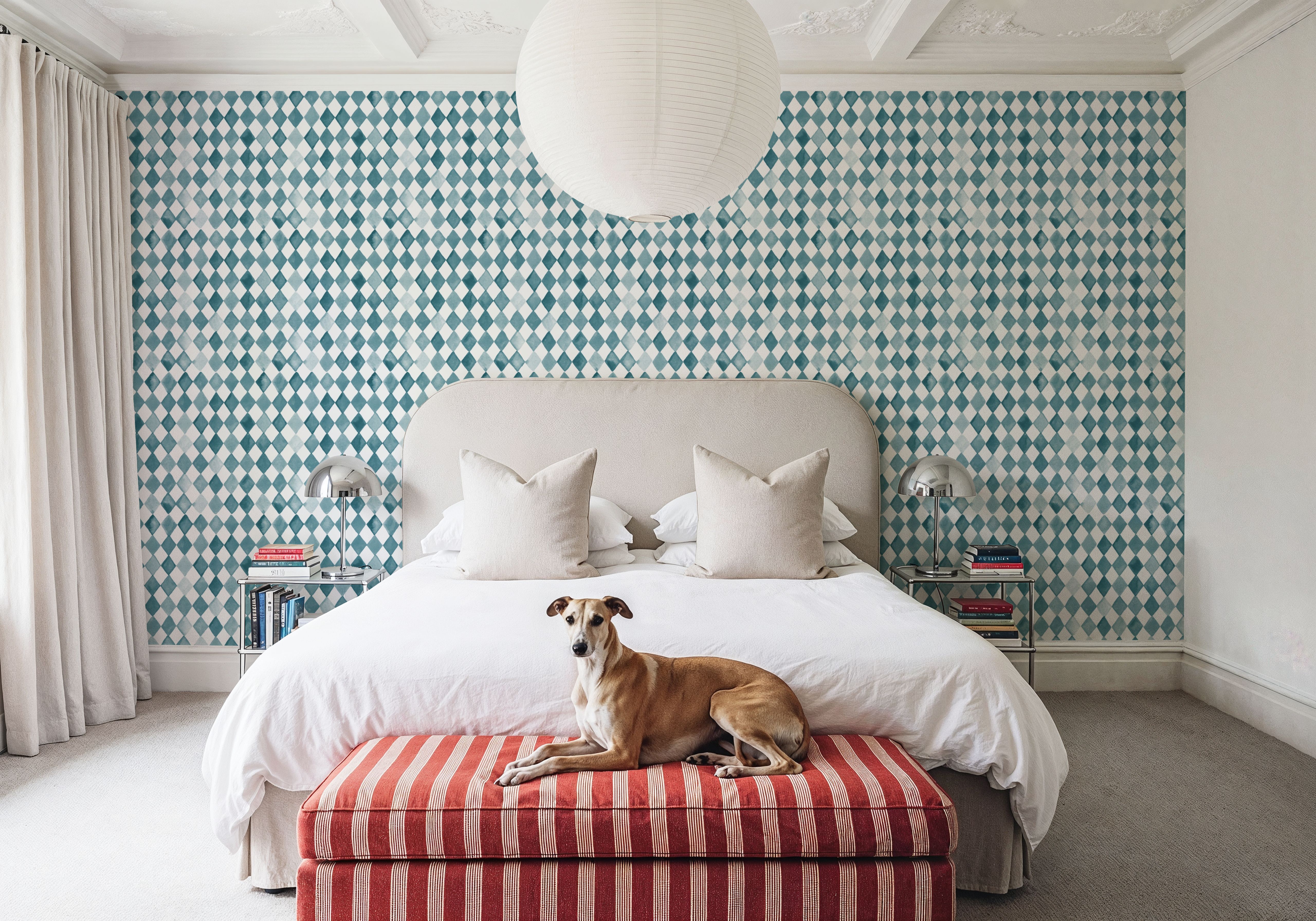 Harlequin Blue