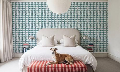 Harlequin Blue