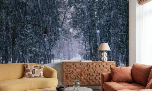 Winter Forest Path
