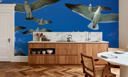 Soaring Seagulls