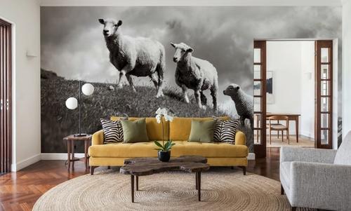 Wanaka Sheep IV