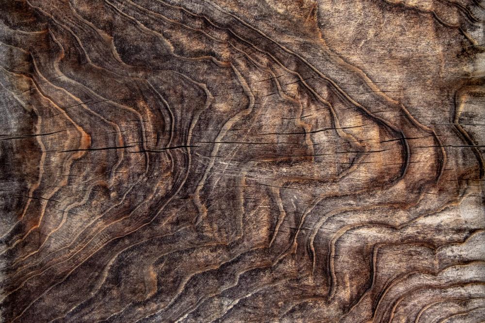 Driftwood Contours