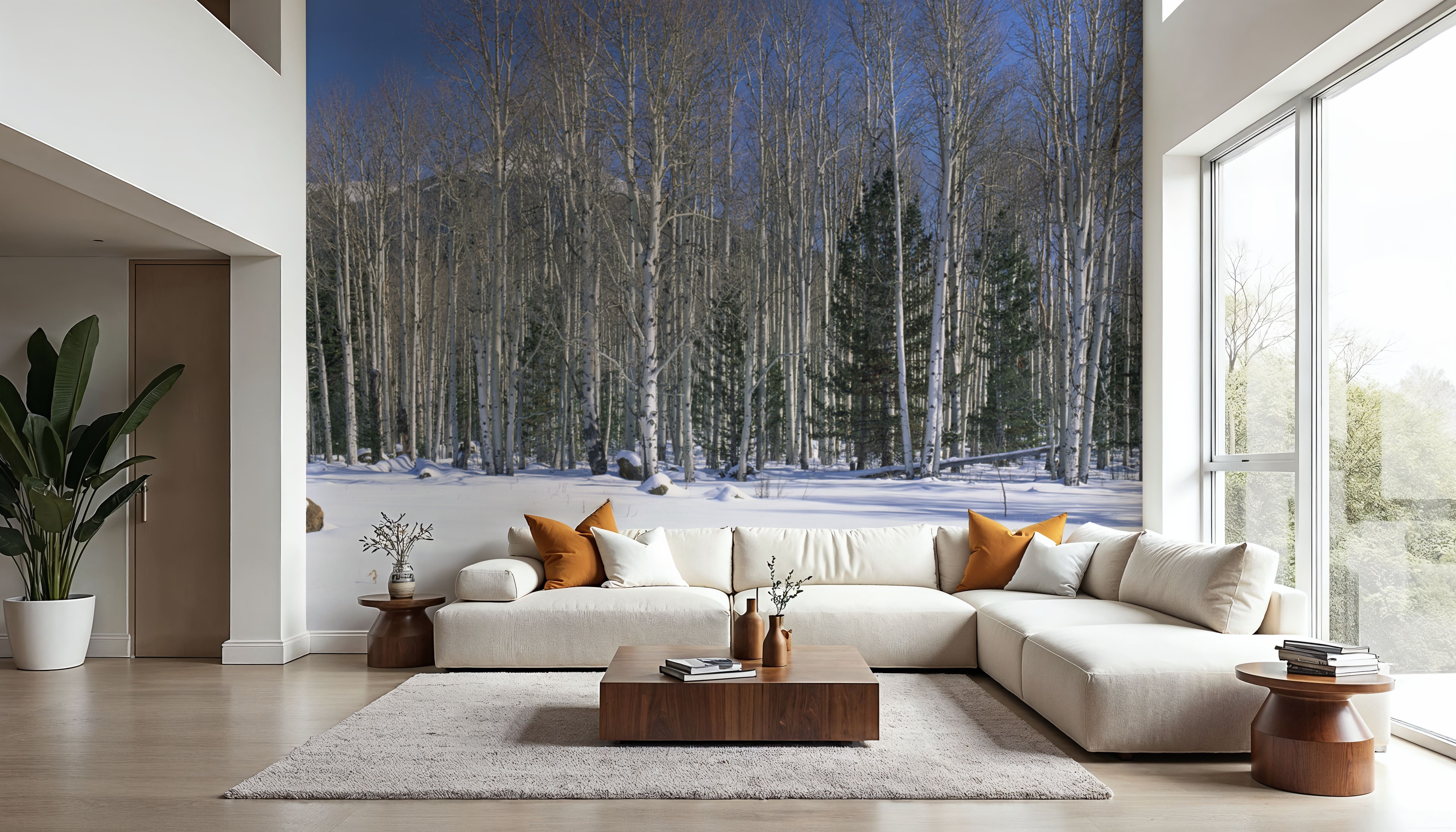 Aspen Winter Grove