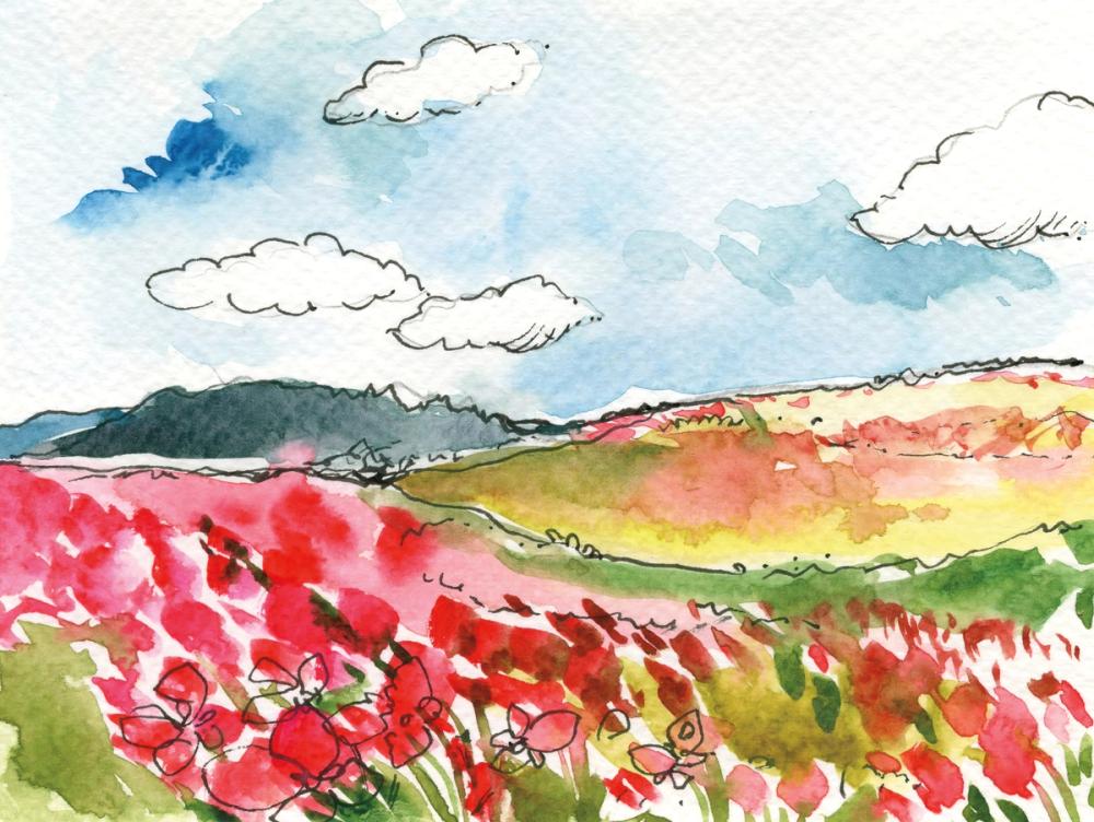 Wind Across the Meadow