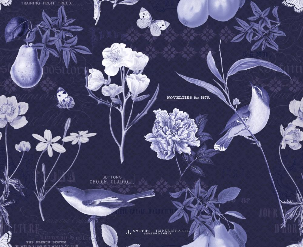 Botanical Postcard Blue