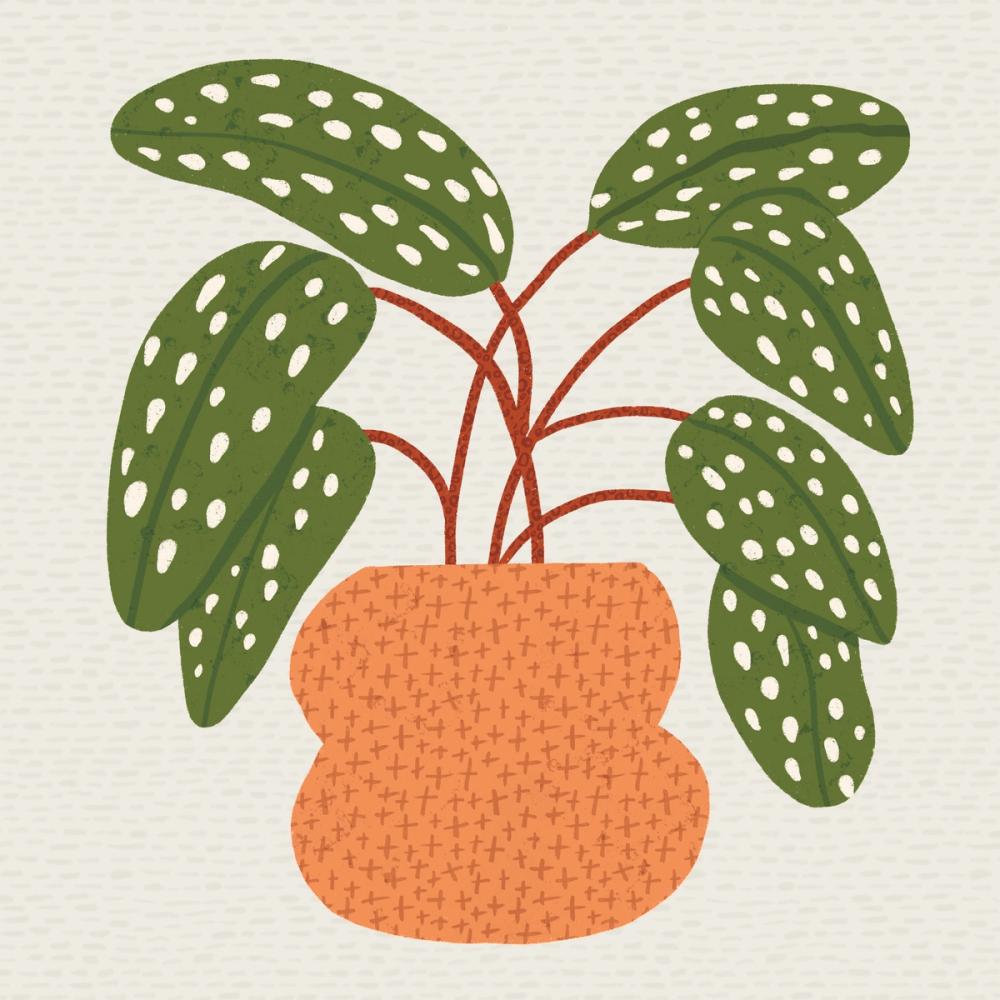Potted Plants III