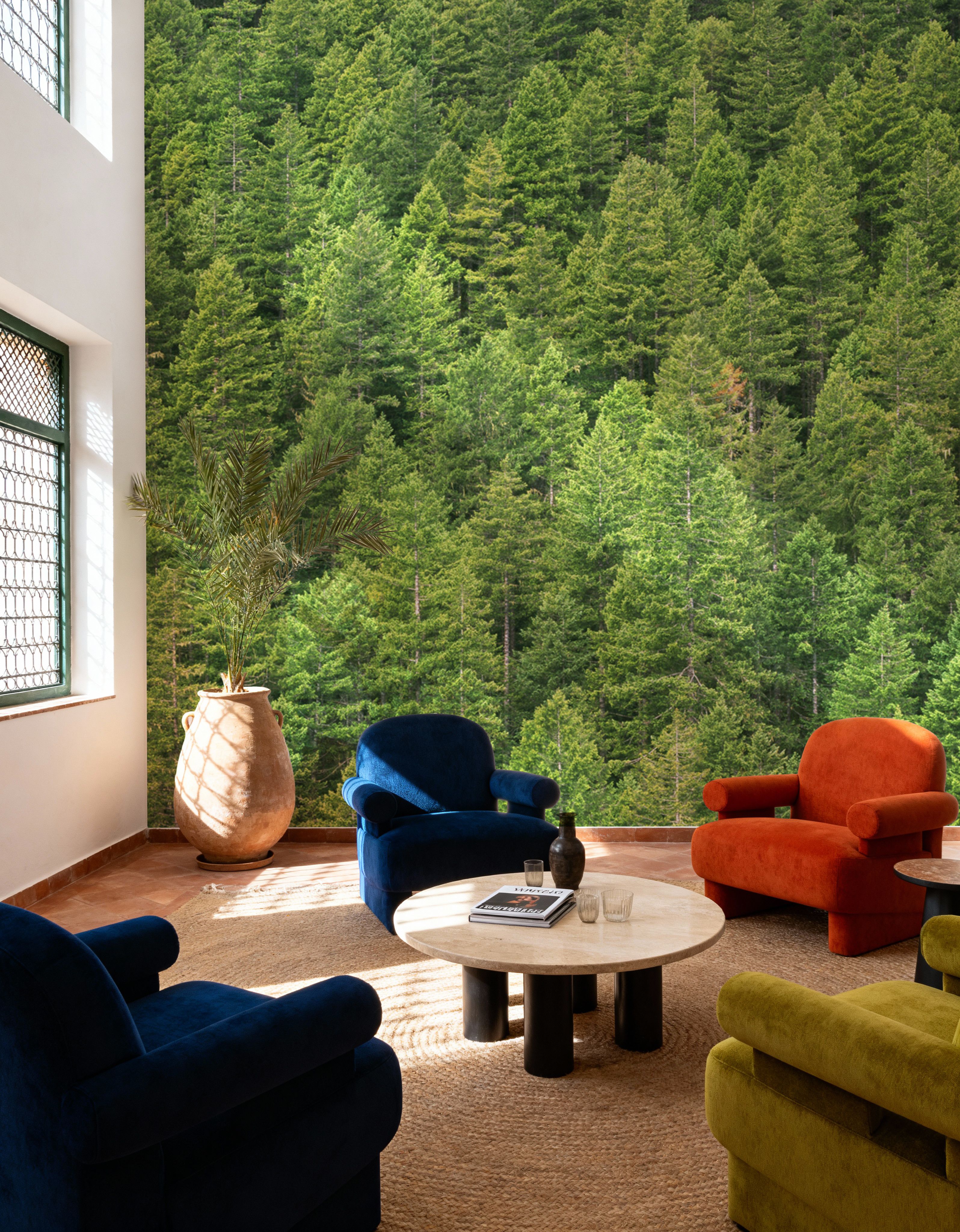 Evergreen Forest in Washintong State