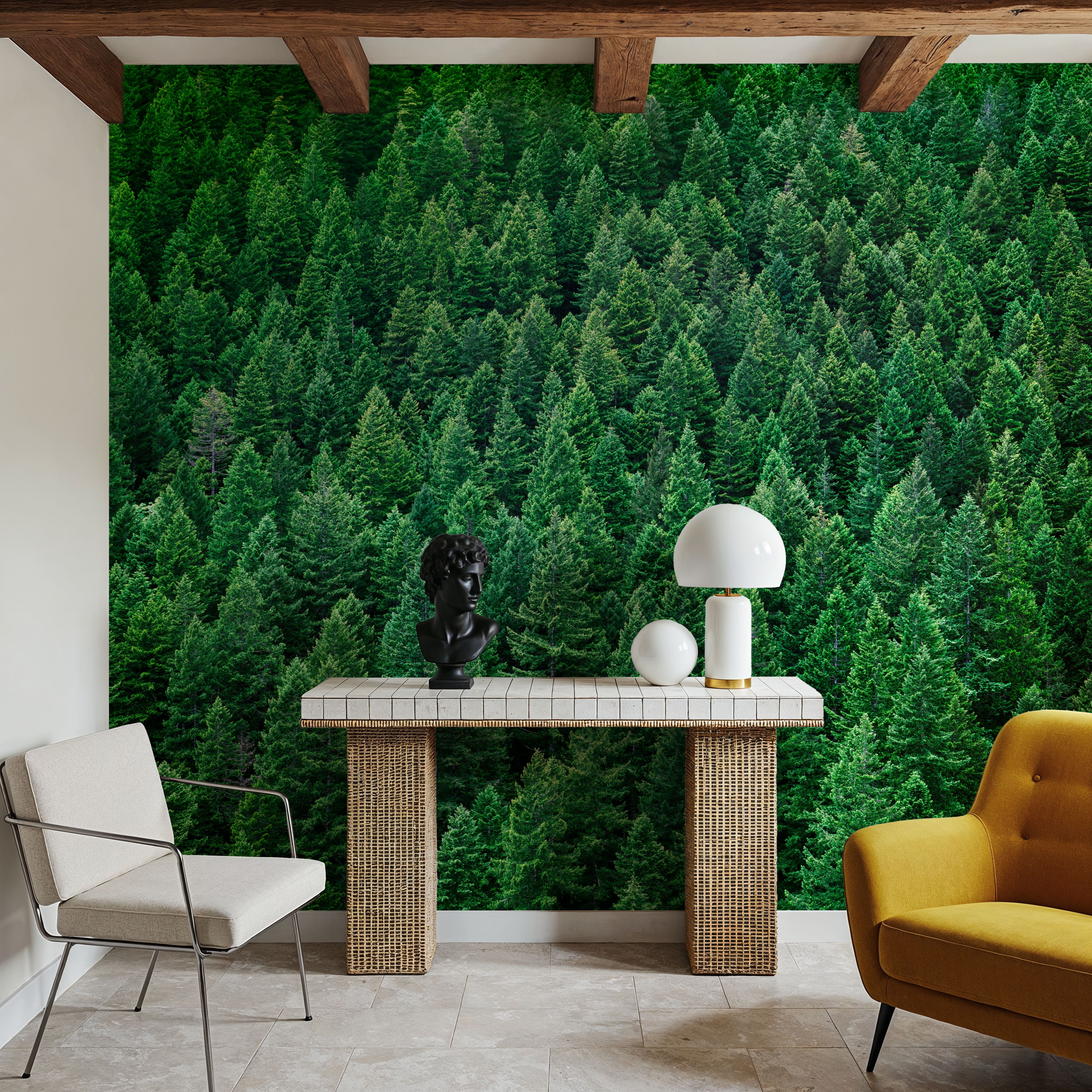 Olympic National Forest, Washington State