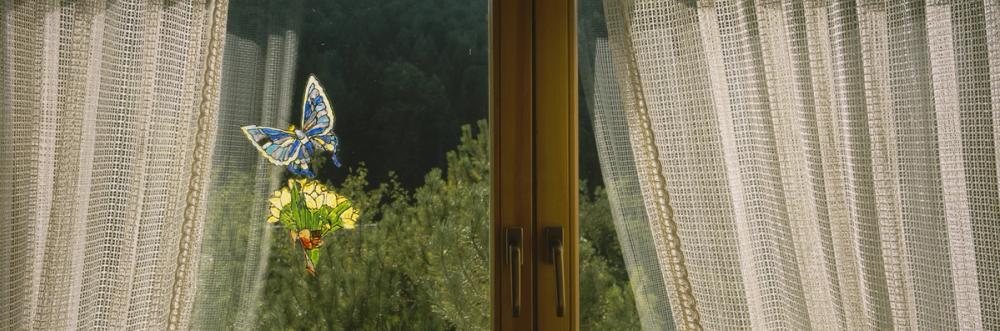 Butterfly Window Charm