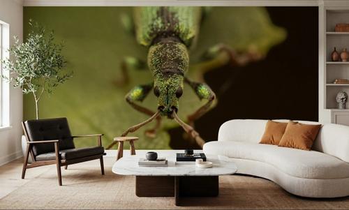 Green Beetle II