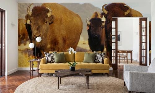 Prairie Bison