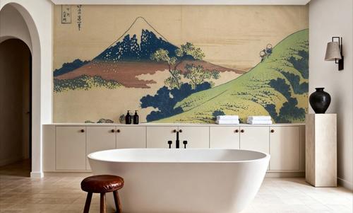 Views of Mt Fuji