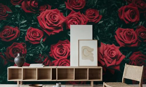 Night Roses