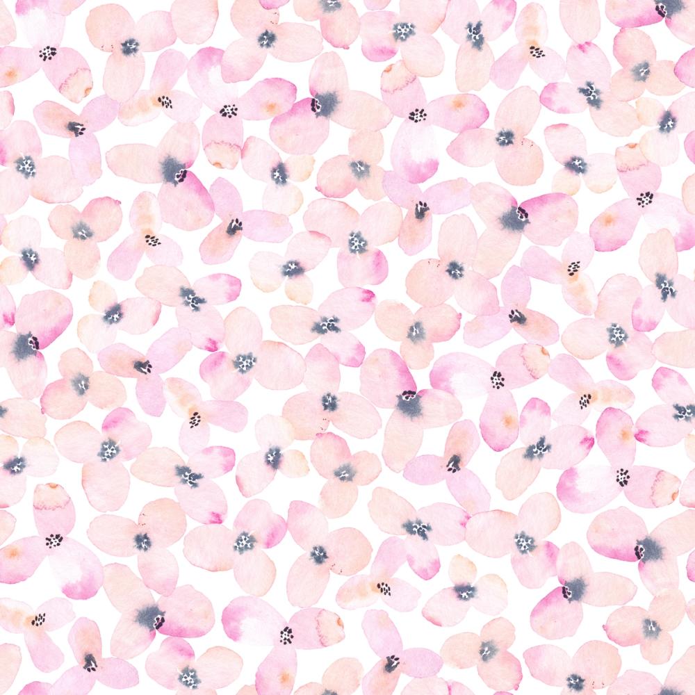 Painted Cherry Blossoms