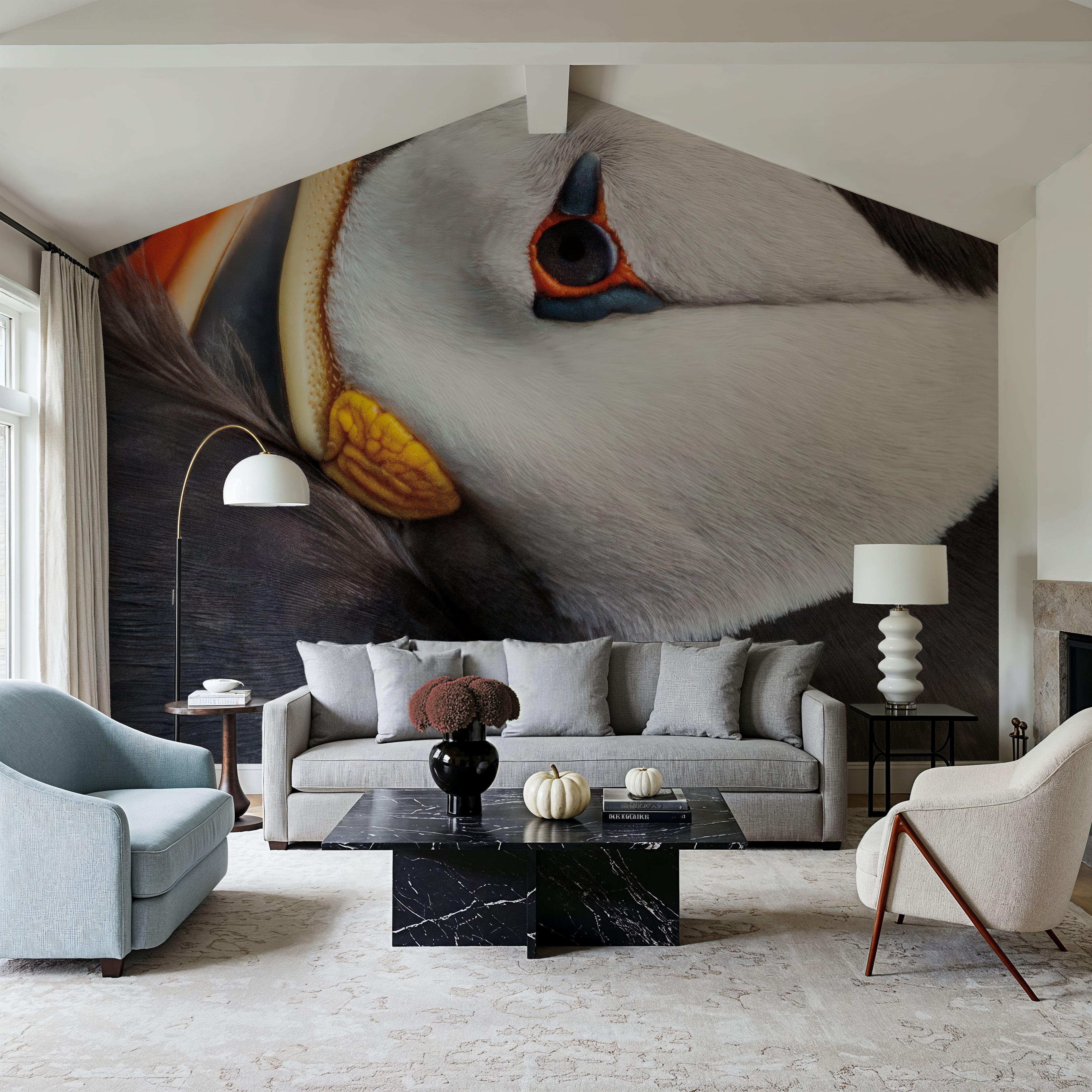 Atlantic Puffin Tucked