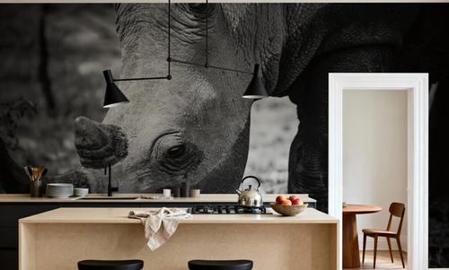 Rhino