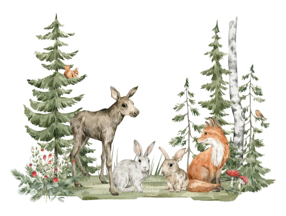 Fir Forest Pals