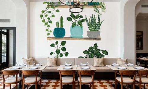 My Boho Plants I