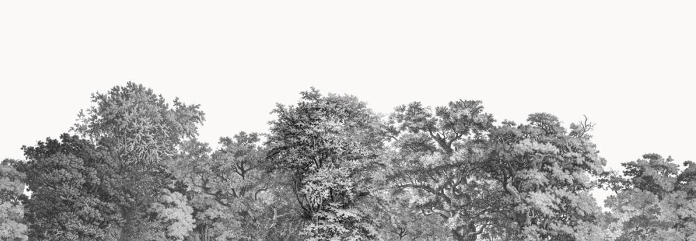 Over the Treetops, Stone