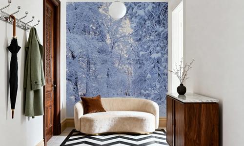 Snow-Laden Forest