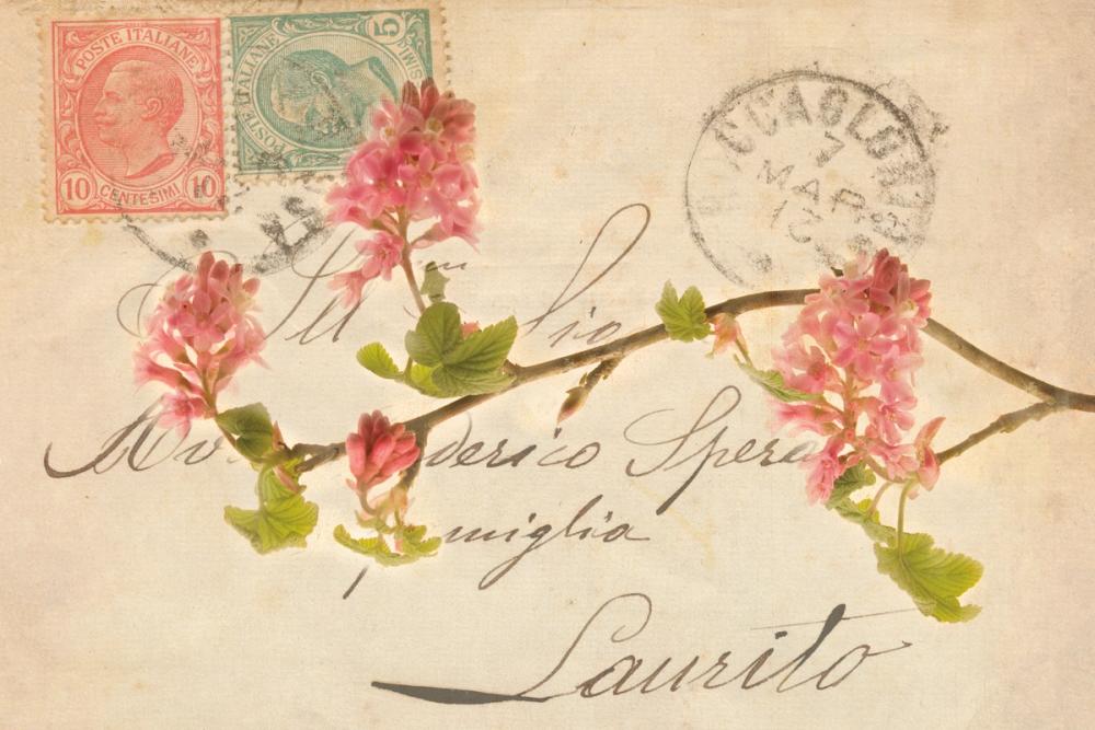 Letters to My Love III