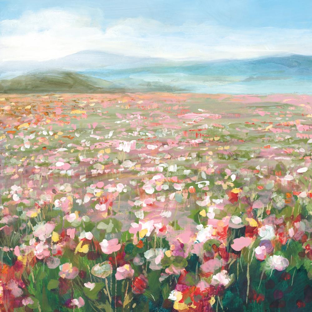 Headland Wildflowers III