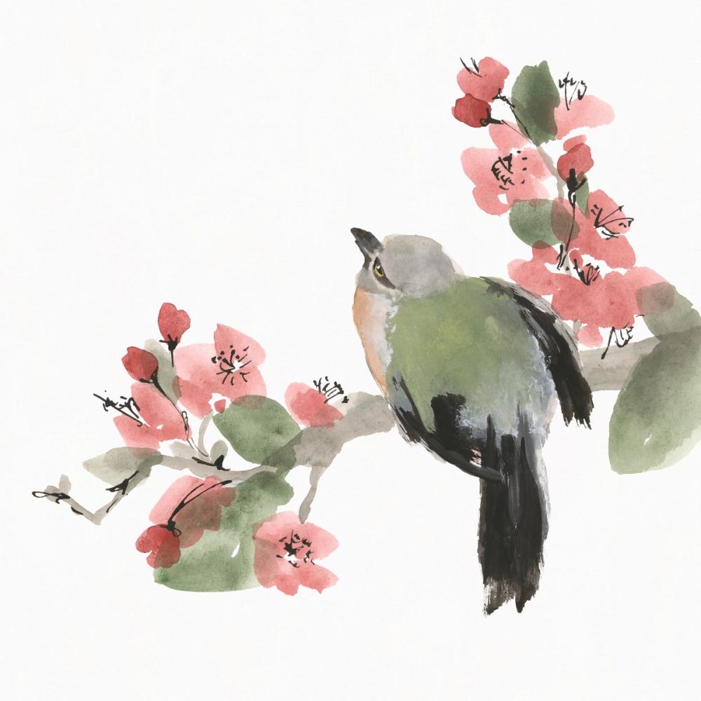 Bird and Blossoms II