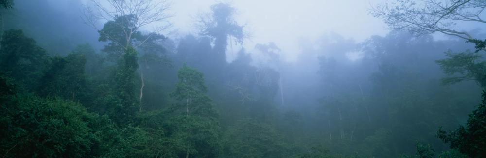 Misty Belize