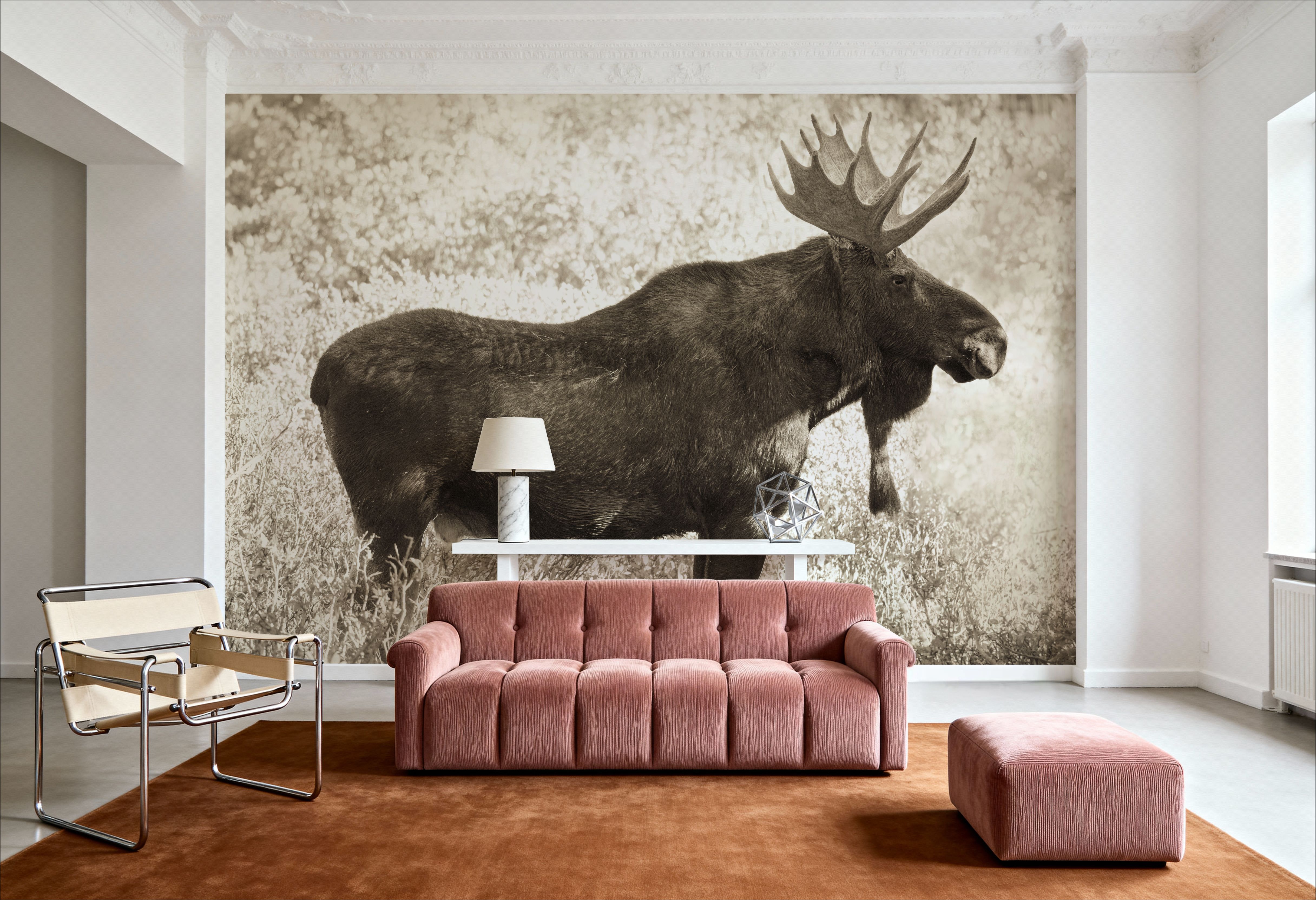 Medicine Bow Moose II