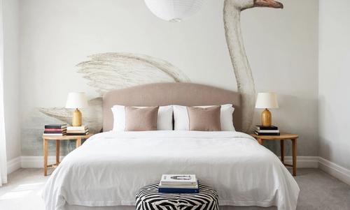 Swimming Swan