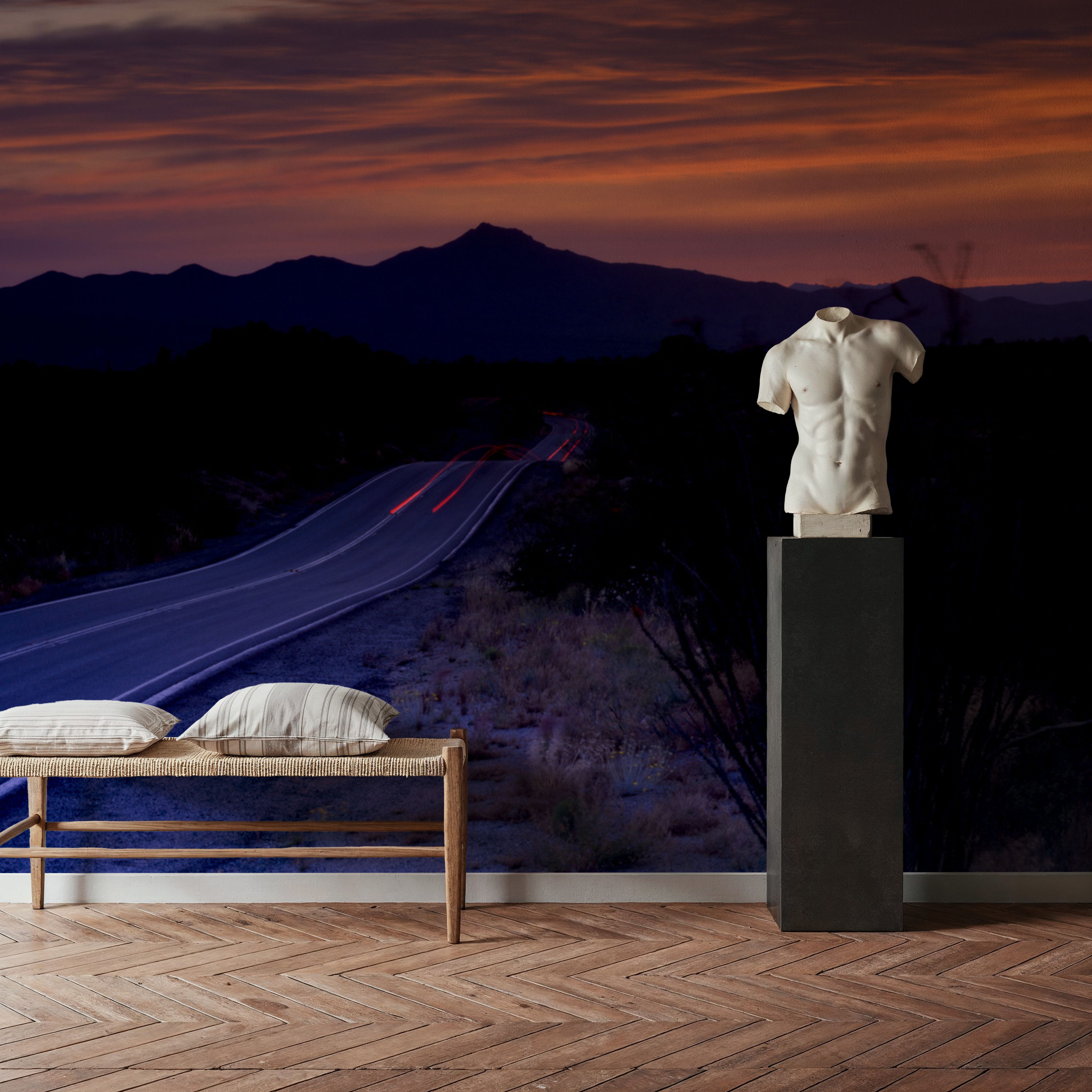 Desert Twilight Highway