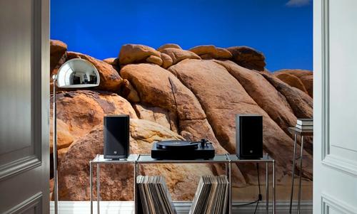 Joshua Tree Blue I