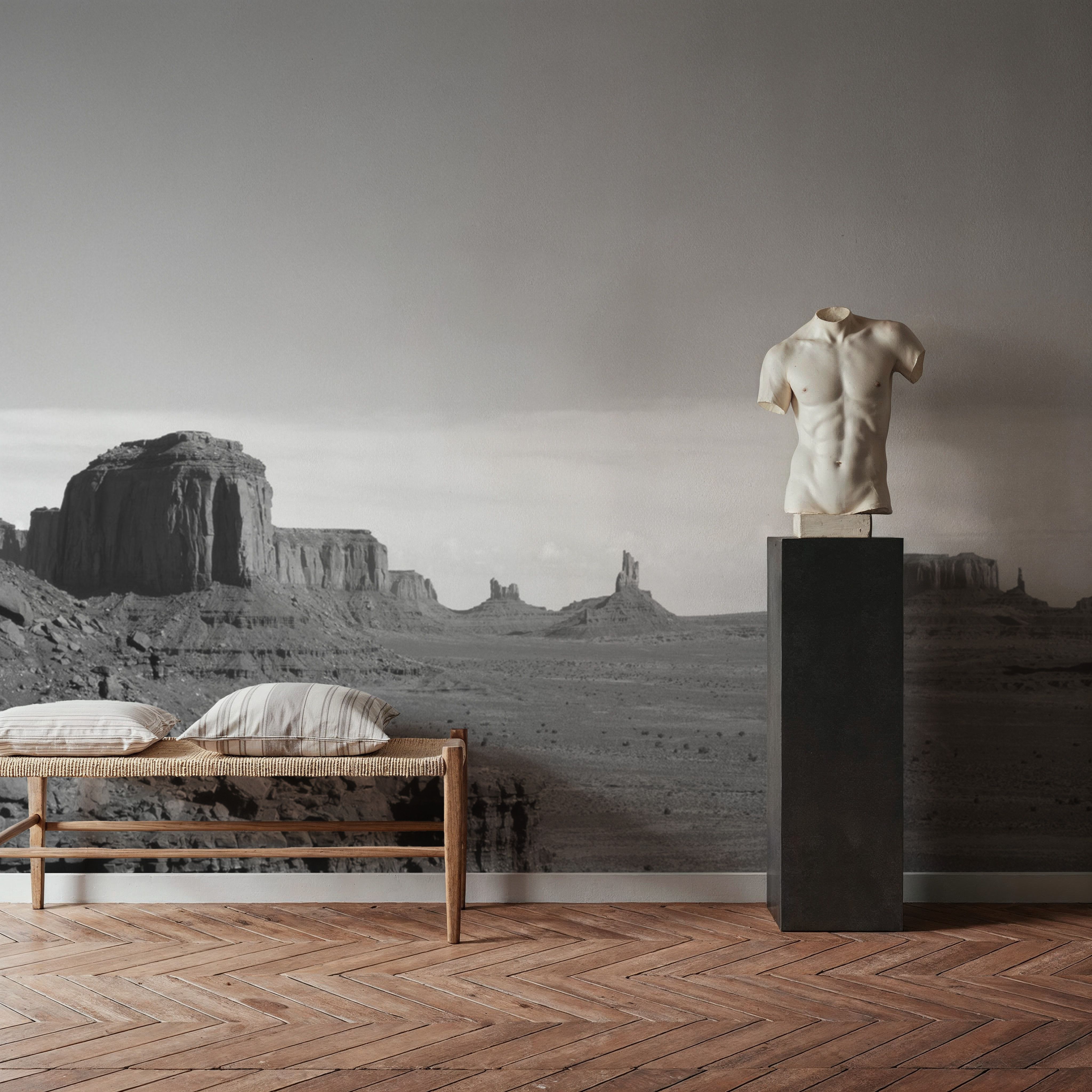 Desert Monuments